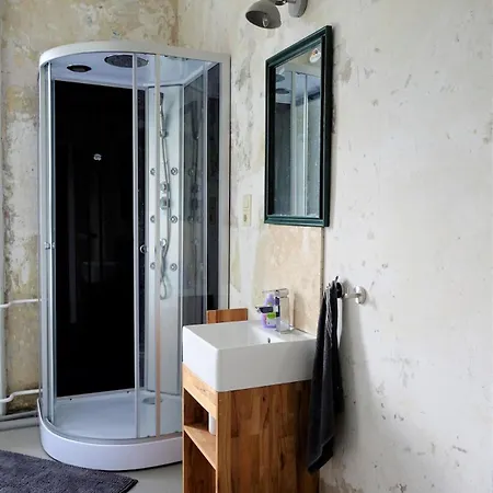 180 Sqm Penthouse For Up To 11 People - Gera